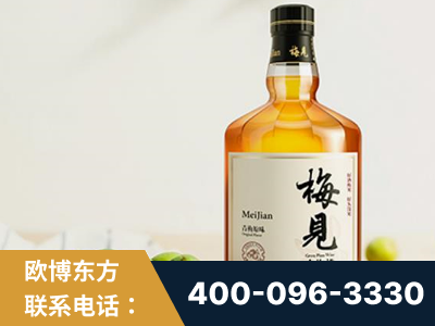 泸州-梅见青梅酒